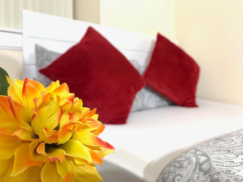 Edinburgh Ocean Inn Bagian luar foto